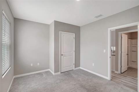 17038 Wave Tressle Place, Wimauma FL - photo 22 of 47
