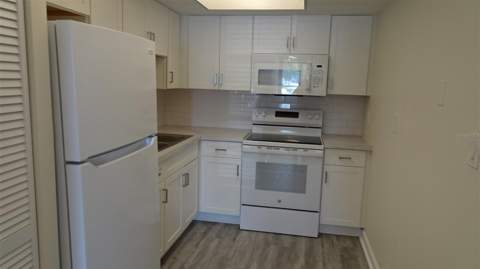 8100 Dr Martin Luther King Jr Street #105, St Petersburg FL - photo 13 of 36