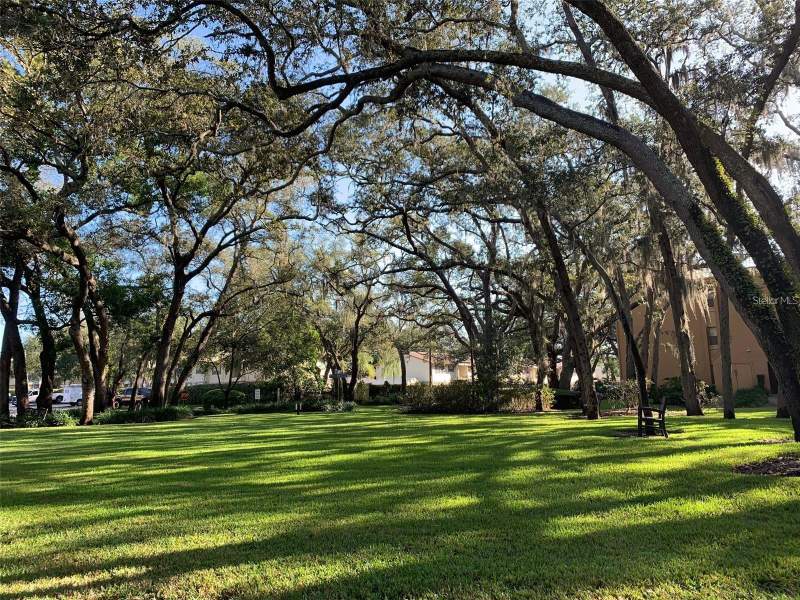2 bedroom Condominium at 14225 Shadow Moss Lane #102, The Oaks Unit IV A Condo, Tampa — photo 3