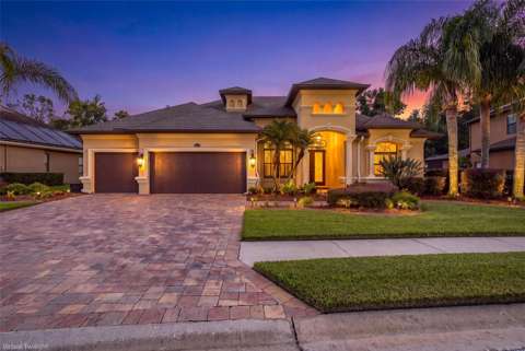 15312 Azra Drive, home for sale in Odessa 33556