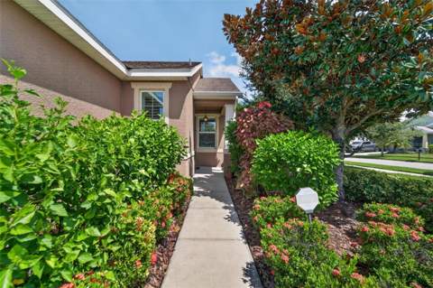 6511 Salt Creek Avenue, Apollo Beach FL - photo 9 of 94
