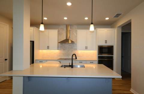 5825 Native Oak Street, Mount Dora FL - photo 6 of 6
