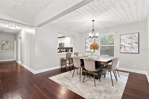 307 E North Street, Tampa FL - photo 6 of 23
