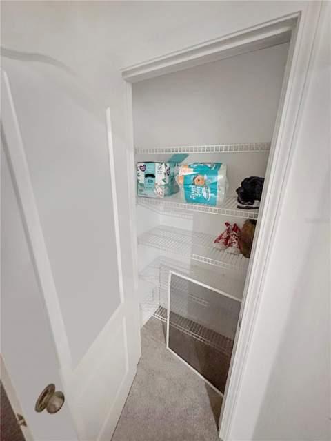 4924 Chatham Gate Drive, Riverview FL - photo 22 of 39