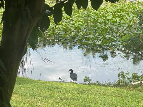 145 N Pearl Lake Causeway #112, Altamonte Springs FL - photo 24 of 43