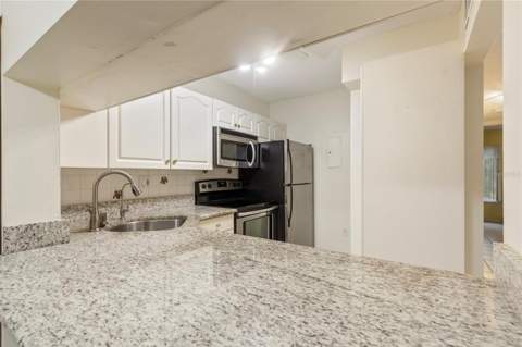 3232 Lake Pine Way #B1, Tarpon Springs FL - photo 9 of 28
