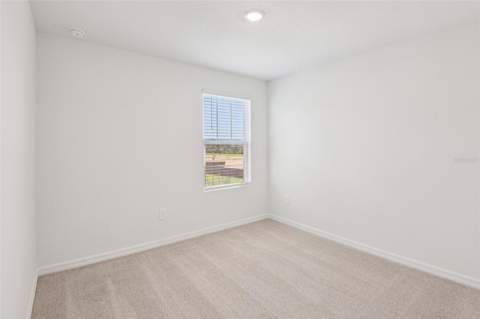 12573 Homeland Drive, Dade City FL - photo 24 of 33