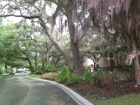 6292 Twain Street #107, Orlando FL - photo 14 of 50