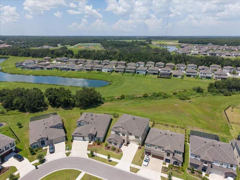 5 bedroom Single Family Residence at 12962 Steed Trace Loop, Hinton Hawkstone, Lithia — photo 3