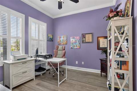 416 Manns Harbor Drive, Apollo Beach FL - photo 6 of 40