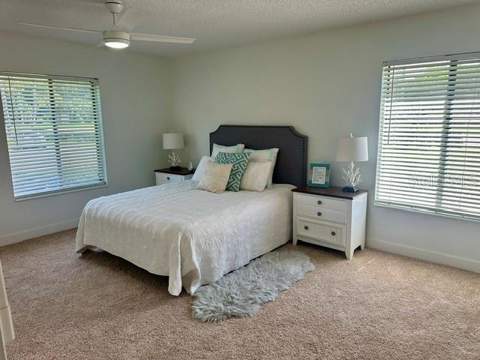 3211 Lake Pine Way #A1, Tarpon Springs FL - photo 23 of 42