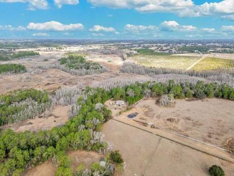 11535 Mattioda Road, Groveland FL - photo 6 of 6
