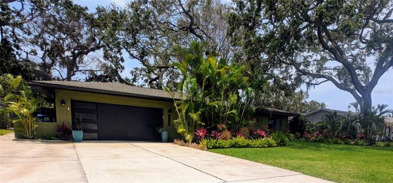 Boca Ciega Woodlands