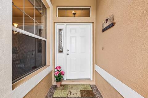 3538 Mulberry Grove Loop, Leesburg FL - photo 10 of 82