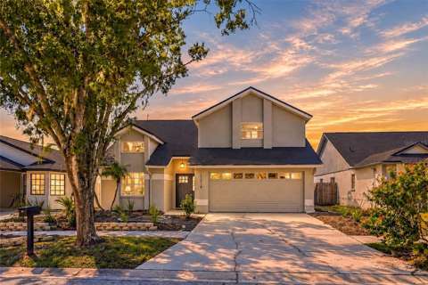 11216 Shadybrook Drive, home for sale in Tampa 33625