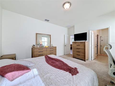 11117 Bostwick Alley, Winter Garden FL - photo 13 of 19