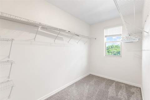 7310 Pearly Everlasting Avenue, Tampa FL - photo 15 of 63
