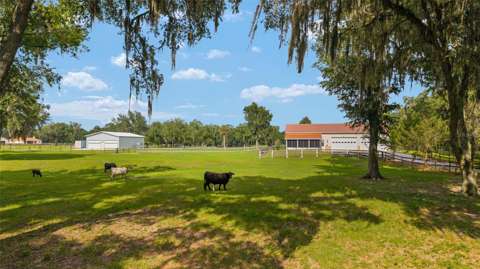 2035 NW 150Th Avenue, luxury home for sale in Ocala