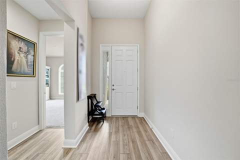 14627 Gallop Run Drive, Lithia FL - photo 6 of 35