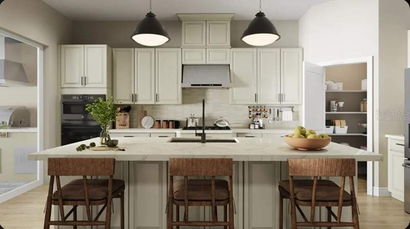 3 bedroom Single Family Residence at 30247 Imperati Boulevard, Esplanade At Wiregrass Ranch, Wesley Chapel — photo 5