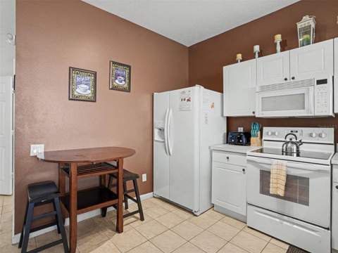 2326 Silver Palm Dr, Kissimmee FL - photo 8 of 45