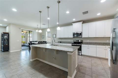 11420 Amapola Bloom Court, Riverview FL - photo 8 of 55