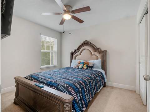 14309 Pondhawk Lane, Tampa FL - photo 18 of 42