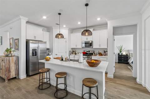 17307 Blue Walk Street, Wimauma FL - photo 14 of 47
