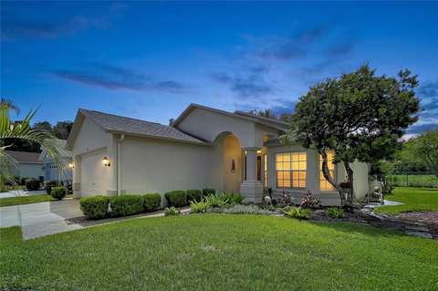 1017 Sweet Jasmine Drive, home for sale in Trinity 34655