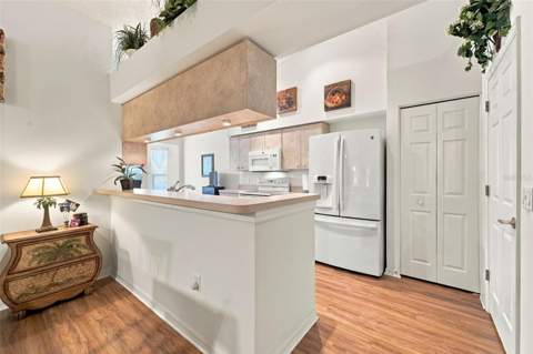 1202 Wolford Drive, Trinity FL - photo 11 of 55