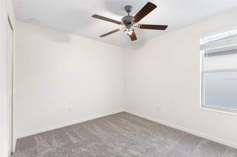 7310 Pearly Everlasting Avenue, Tampa FL - photo 16 of 63