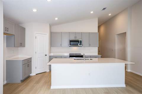 31702 Oyster Trellis Lane, Wesley Chapel FL - photo 8 of 23