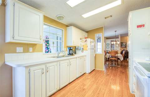258 Pelican Drive, Oldsmar FL - photo 6 of 51