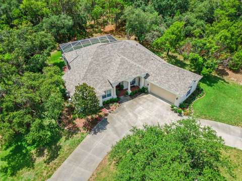 8 Cosmos Court, pool for sale in Homosassa