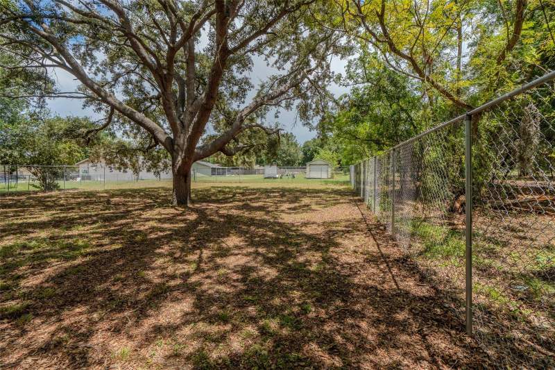 3 bedroom Single Family Residence at 1049 Birch Boulevard, Woodlea Sub, Tavares — photo 4