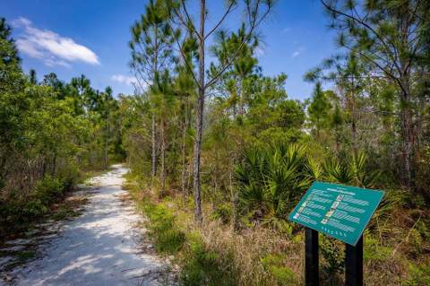 6713 Rucksack Road, St Cloud FL - photo 12 of 22