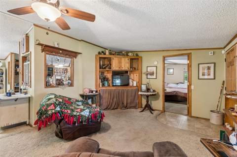 4404 Platt Road, Plant City FL - photo 6 of 6