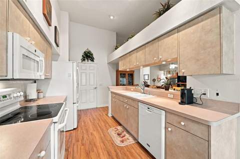 1202 Wolford Drive, Trinity FL - photo 13 of 55
