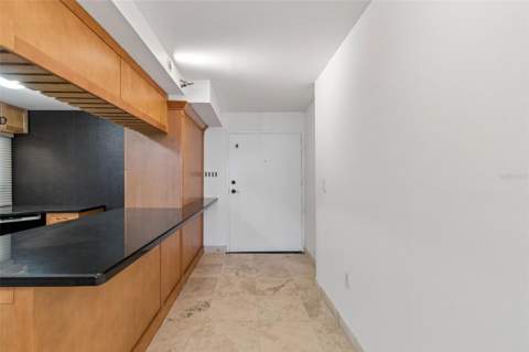 2413 Bayshore Boulevard #1904, Tampa FL - photo 10 of 80