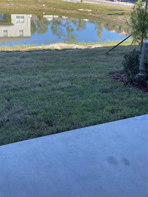 36217 Risa Michele Street, Zephyrhills FL - photo 12 of 26