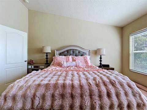 4842 Barnstead Drive, Riverview FL - photo 19 of 33