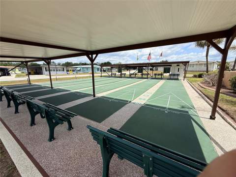 35801 Brisa Drive, Zephyrhills FL - photo 12 of 21