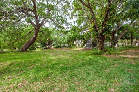845 Maple Court #103, Dunedin FL - photo 23 of 27