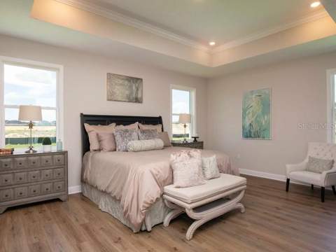 930 Buckeye Drive, Lady Lake FL - photo 11 of 29