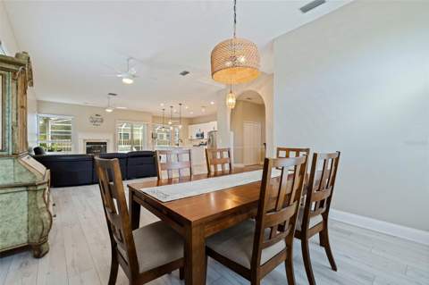 903 Whippoorwill Drive, Palm Harbor FL - photo 6 of 6