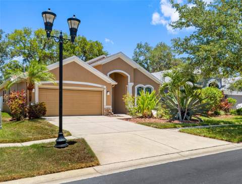 5335 Clover Mist Drive, Apollo Beach FL - photo 6 of 44