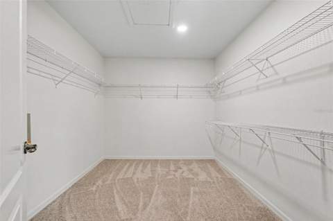 17511 Glenapp Dr, Land O Lakes FL - photo 18 of 26