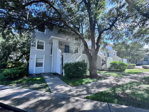 7177 E Bank Drive #102, starter home for sale in Tampa