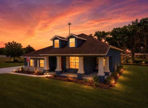 13101 Done Groven Drive, home for sale in Dover 33527