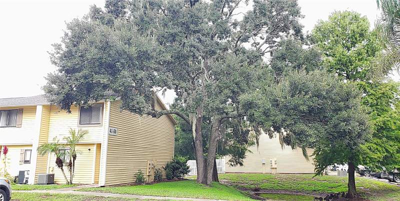 Chelsea Meadows A CondoHomes for Sale in Land O Lakes, FL
